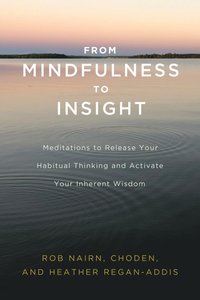 From Mindfulness to Insight