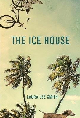 Laura Lee Smith - Ice House, Häftad