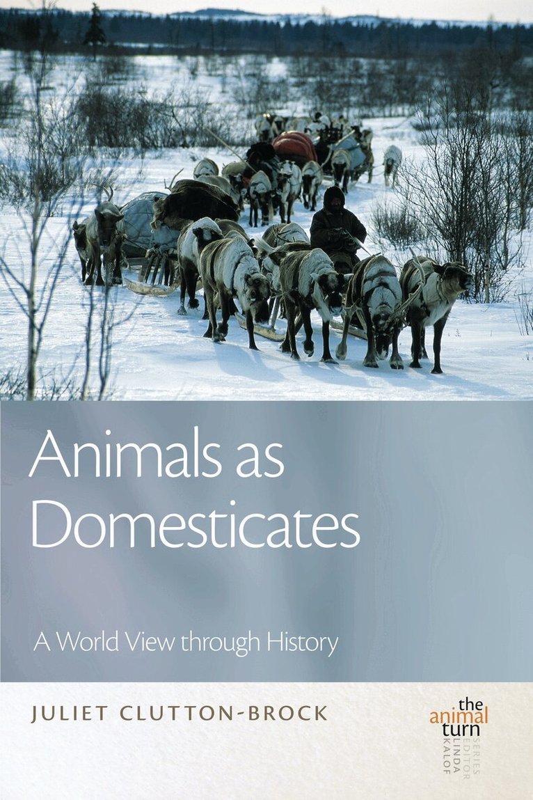 Juliet Clutton-Brock - Animals as Domesticates, Häftad