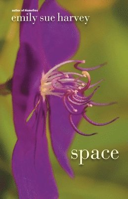 Emily Sue Harvey - Space, Häftad