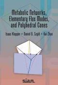Metabolic Networks, Elementary Flux Modes, and Polyhedral Cones