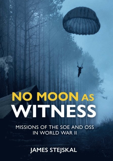 James Stejskal - No Moon as Witness, E-bok. Tillgänglighet: Lägg i varukorg