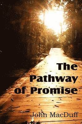 John Macduff - Pathway of Promise, Words of Comfort to the Christian Pilgrim, Häftad