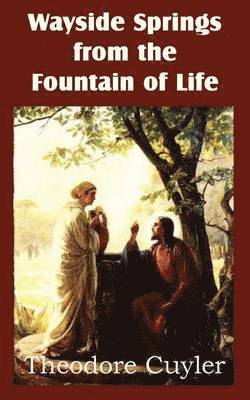 Theodore Cuyler - Wayside Springs from the Fountain of Life, Häftad