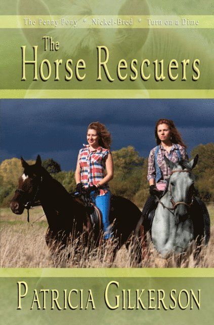 Patricia Gilkerson - Horse Rescuers, E-bok