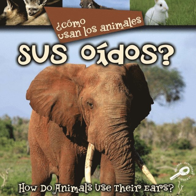 Lynn Stone - Como usan los animales... sus oidos?, E-bok