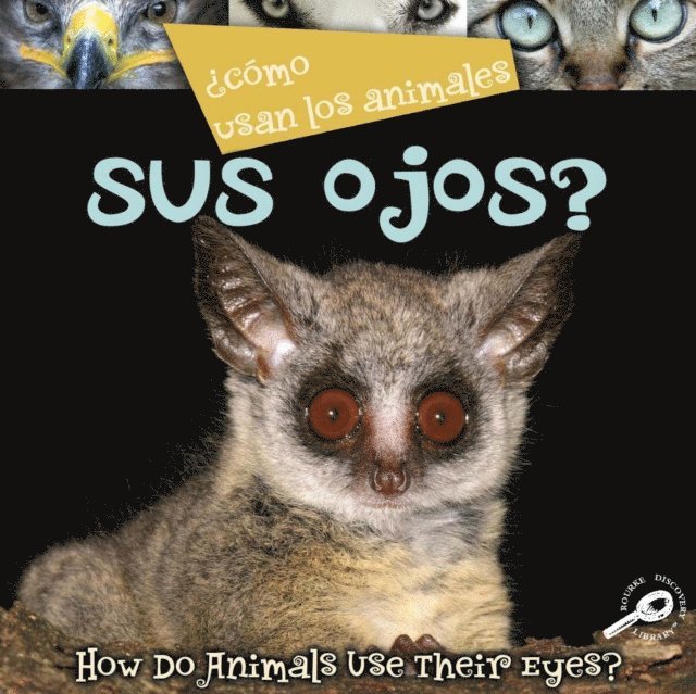 Lynn Stone - Como usan los animales... sus ojos?, E-bok