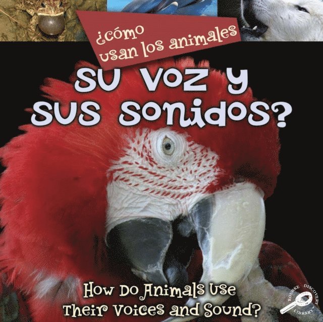 Como usan los animales... su voz y sus sonidos?