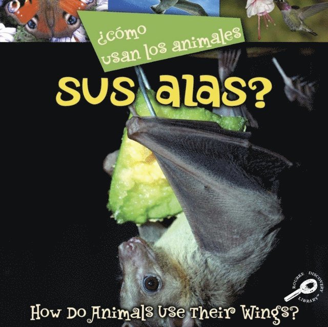 Como usan los animales... sus alas?