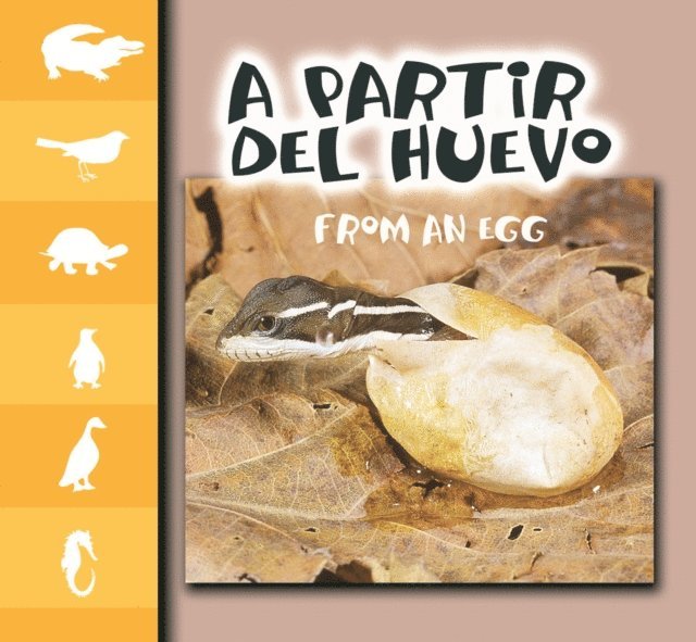 partir del huevo
