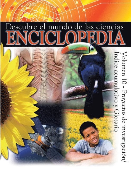 Marcia Freeman, Thomas Sheehan - Proyectos De Investigacion/ Indice Acumulative Y Glosario, E-bok