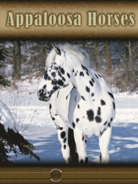 Appaloosa Horses