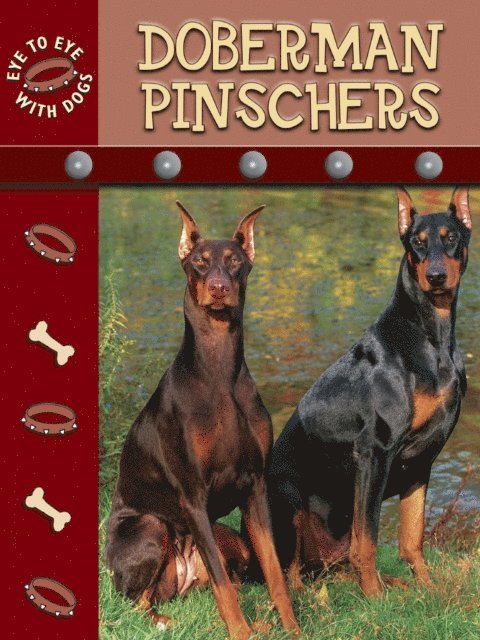 Lynn Stone - Doberman Pinschers, E-bok