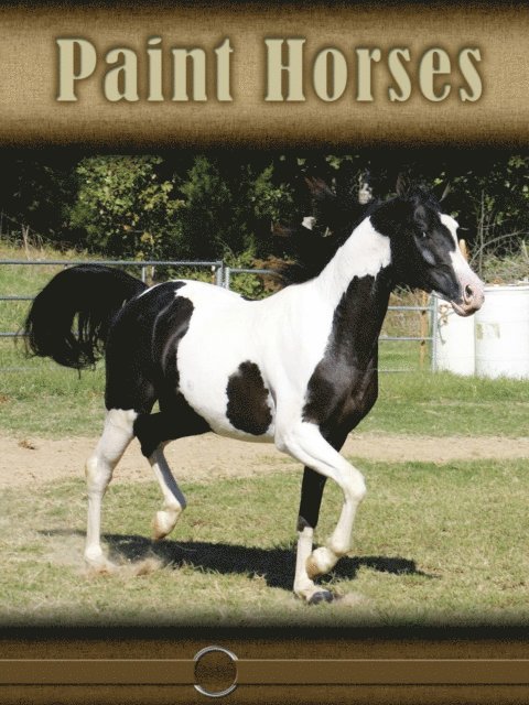 Paint Horses