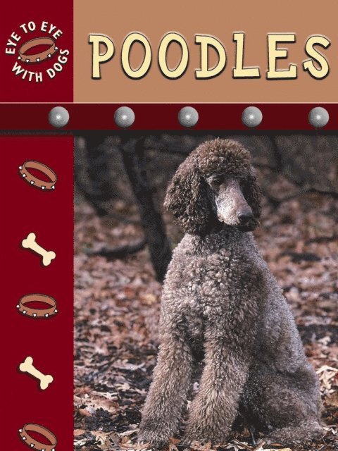 Poodles