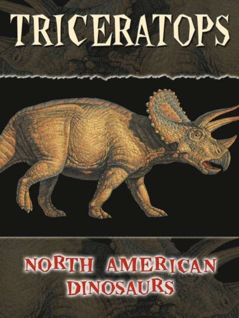 Marybeth Lorbiecki - Triceratops, E-bok