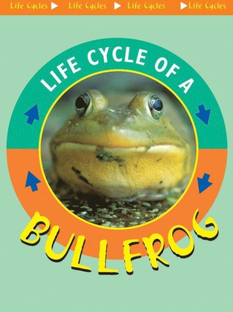Jason Cooper - Life Cycle of A Bullfrog, E-bok