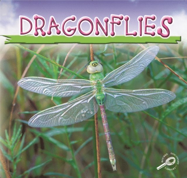 Jason Cooper - Dragonflies, E-bok