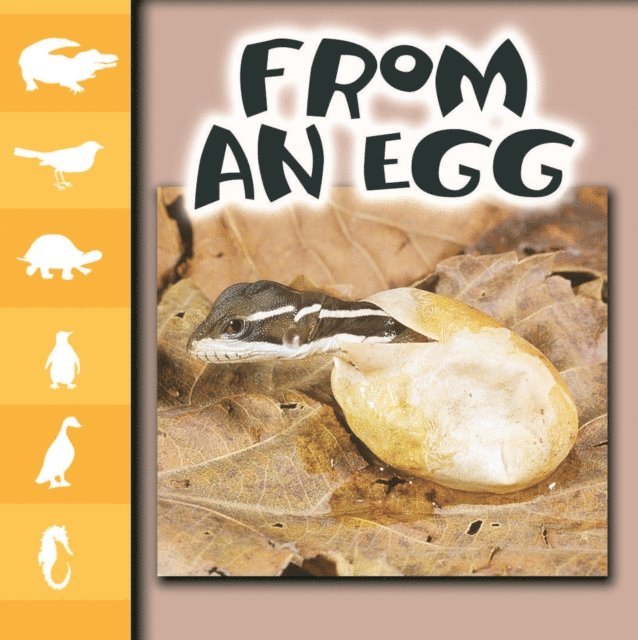 Ray James - From An Egg, E-bok