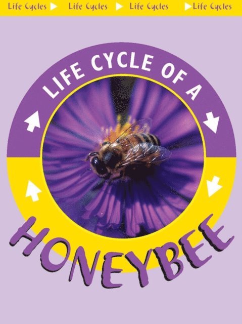 Jason Cooper - Honeybee, E-bok