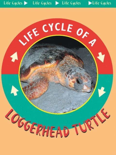 Jason Cooper - Loggerhead Turtle, E-bok