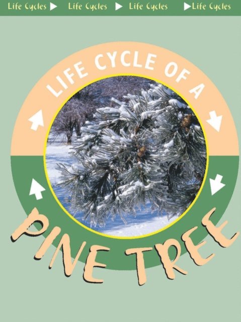 Jason Cooper - Pine Tree, E-bok