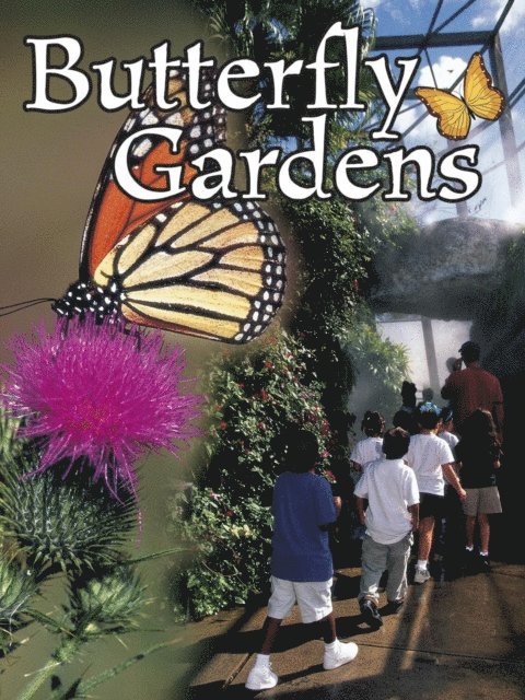 Jennifer Gillis - Butterfly Gardens, E-bok. Tillgänglighet: Lägg i varukorg