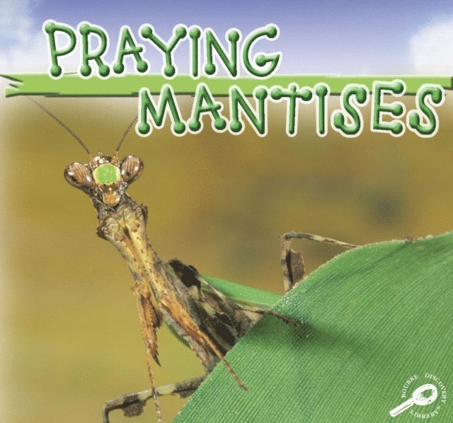 Jason Cooper - Praying Mantises, E-bok