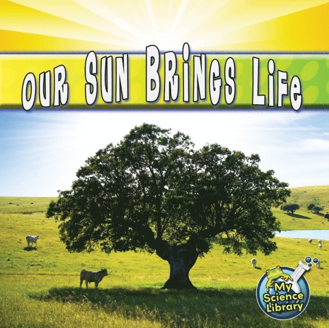 Conrad J. Storad - Our Sun Brings Life, E-bok