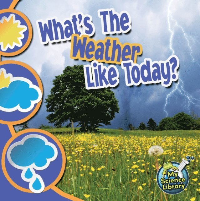 Conrad J. Storad - What's The Weather Like Today?, E-bok