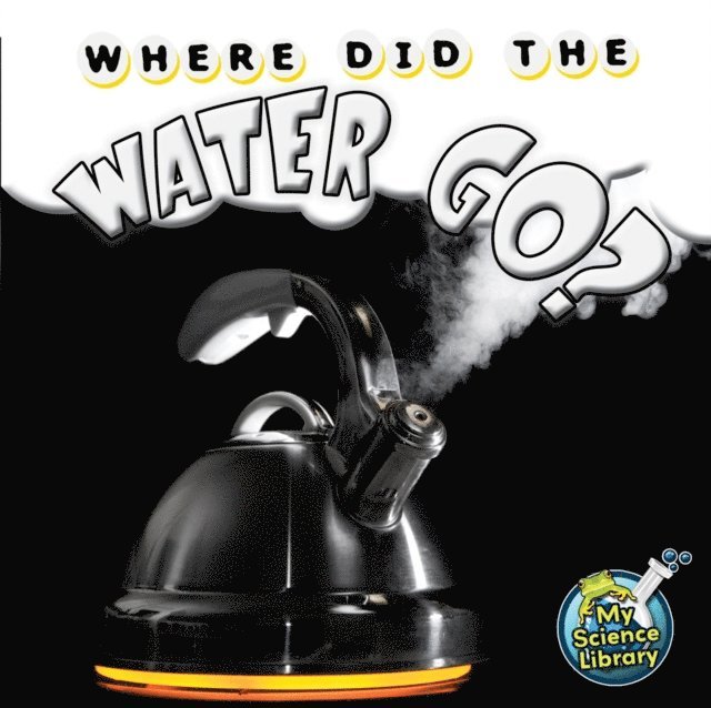 Amy S. Hansen - Where Did The Water Go?, E-bok