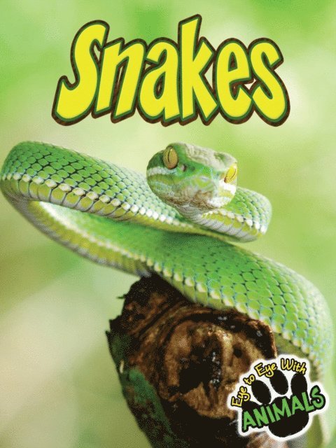 Tom Greve - Snakes, E-bok