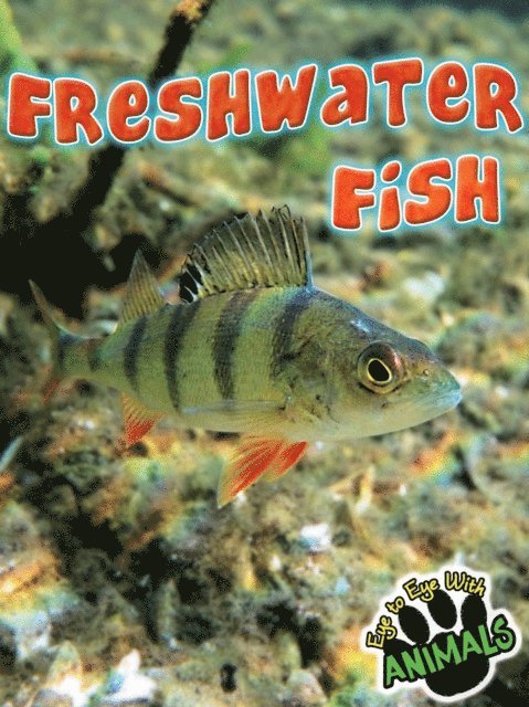 Tom Greve - Freshwater Fish, E-bok