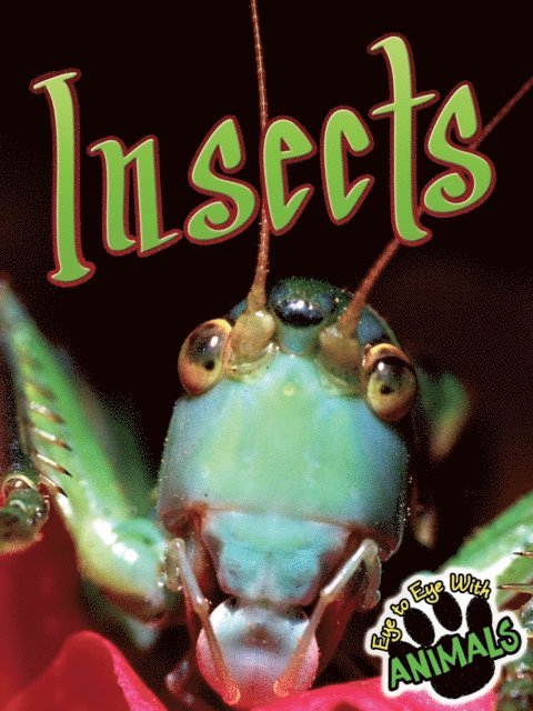 Don McLeese - Insects, E-bok