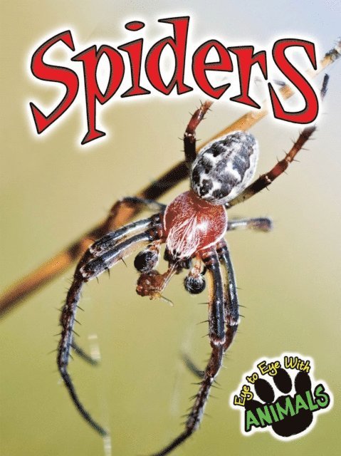 Don McLeese - Spiders, E-bok