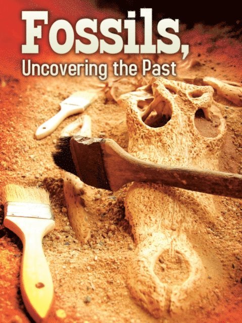 Tom Greve - Fossils, E-bok