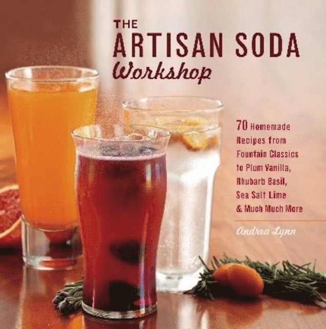 Andrea Lynn - Artisan Soda Workshop, E-bok