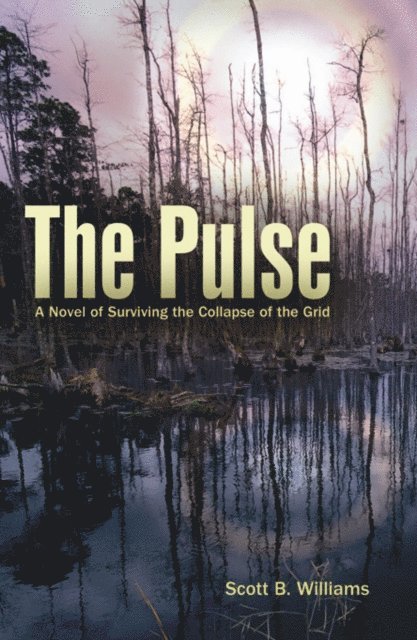 Scott B. Williams - Pulse, E-bok. Tillgänglighet: Lägg i varukorg