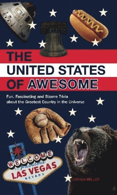 Joshua Miller - United States of Awesome, E-bok