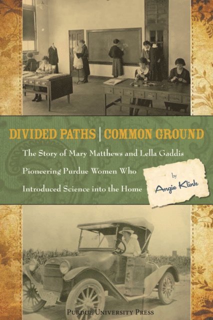 Angie Klink - Divided Paths, Common Ground, E-bok