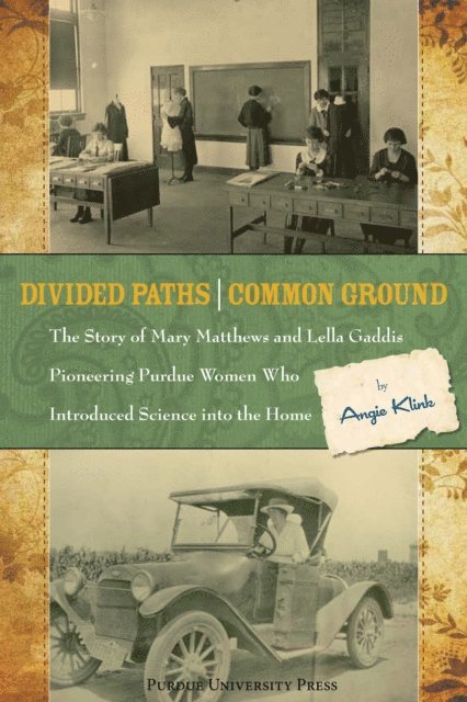 Angie Klink - Divided Paths, Common Ground, E-bok
