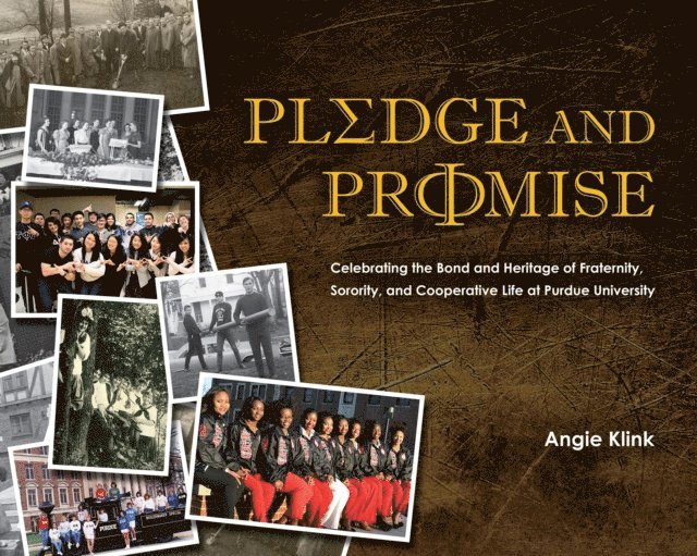 Angie Klink - Pledge and Promise, E-bok
