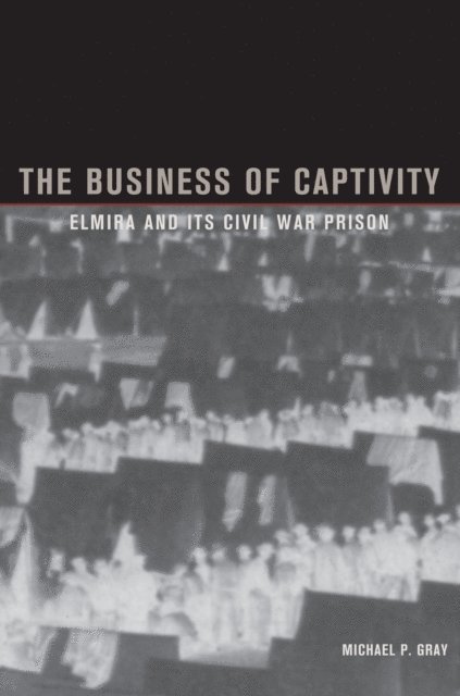 Michael Gray - Business of Captivity, E-bok