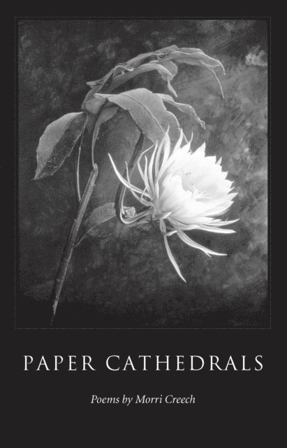 Morri Creech - Paper Cathedrals, E-bok