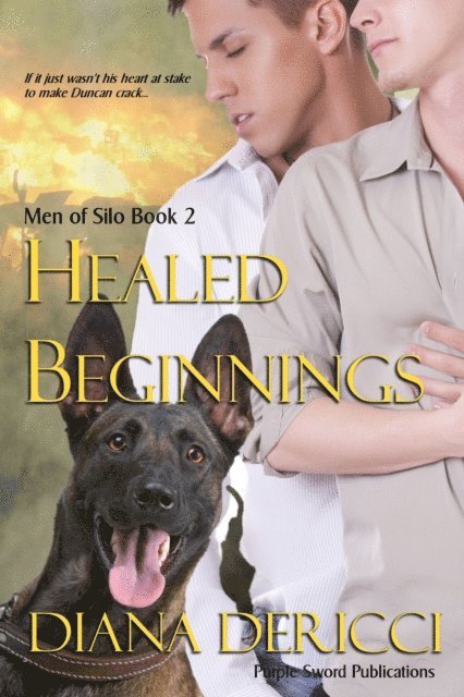 Diana DeRicci - Healed Beginnings, E-bok