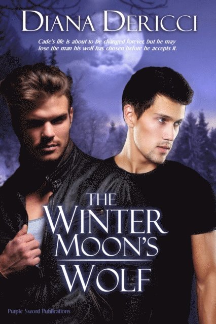 Diana DeRicci - Winter Moon's Wolf, E-bok