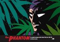 The Phantom: The Complete Newspaper Dailies Volume 34: 1989-1991