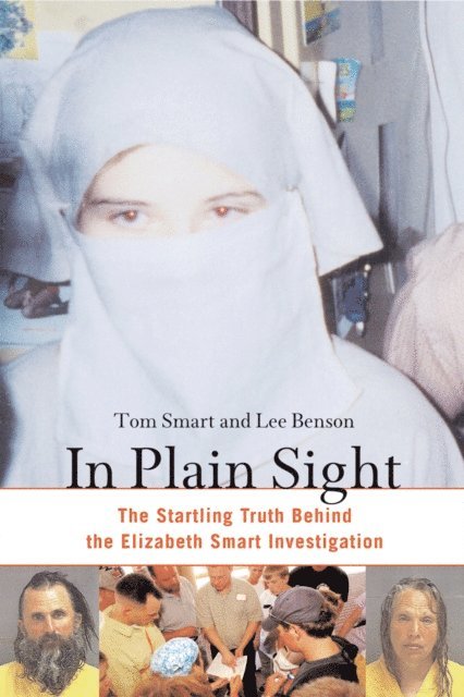 Lee Benson, Tom Smart - In Plain Sight, E-bok