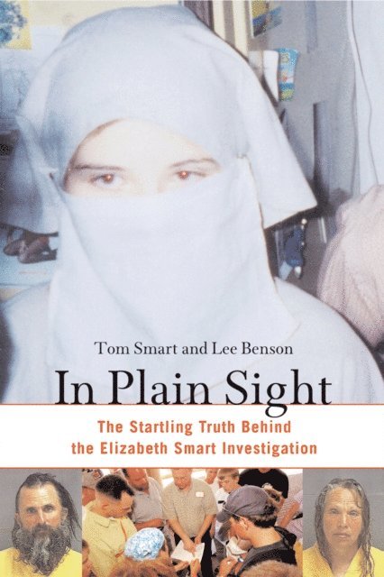 Lee Benson, Tom Smart - In Plain Sight, E-bok
