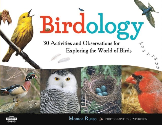 Monica Russo - Birdology, E-bok
